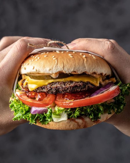 Calorie Big Mac