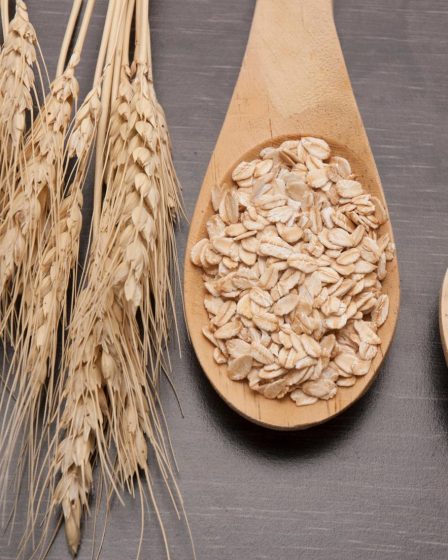 Calorie avena
