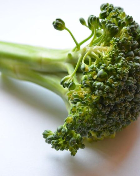 Calorie broccoli