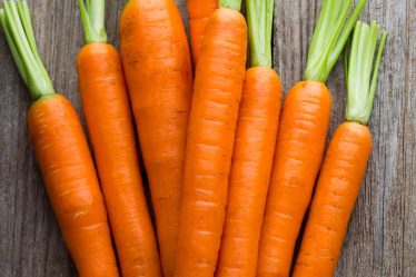 Calorie carota