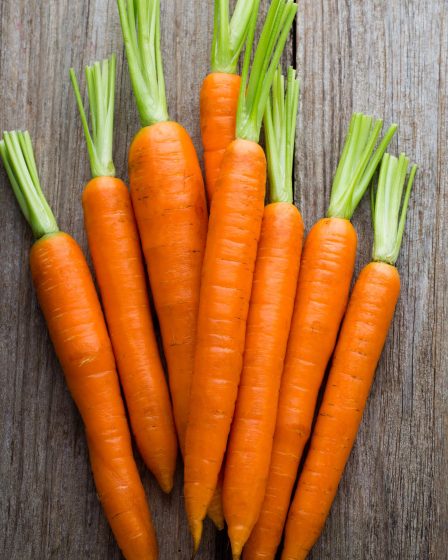 Calorie carota