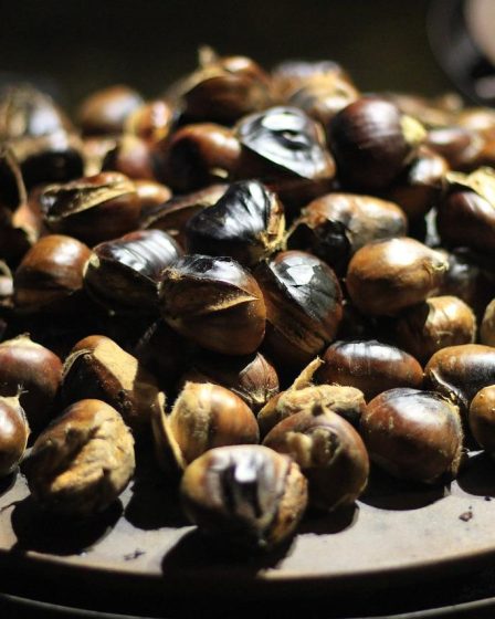 Calorie castagne arrosto