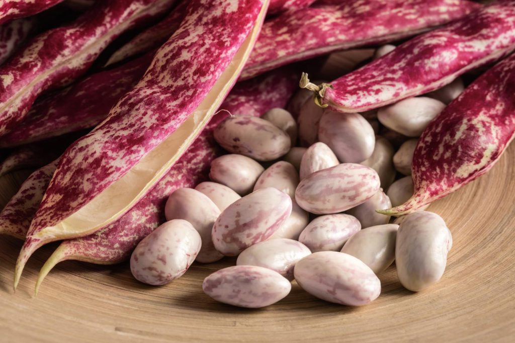 Calorie fagioli borlotti