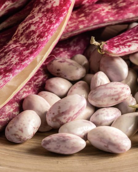 Calorie fagioli borlotti