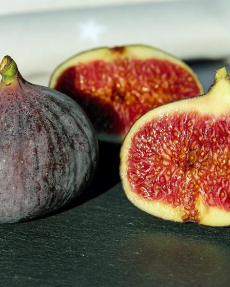 Calorie fichi