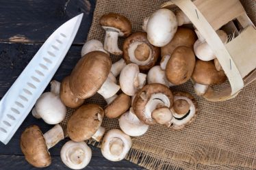 Calorie funghi