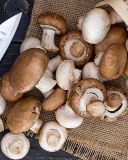 Calorie funghi