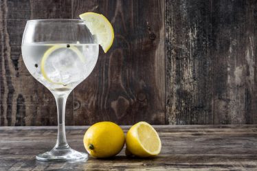 Calorie gin