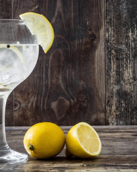 Calorie gin