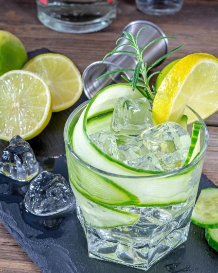 Calorie gin tonic