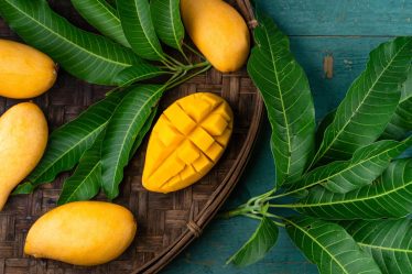 Calorie mango