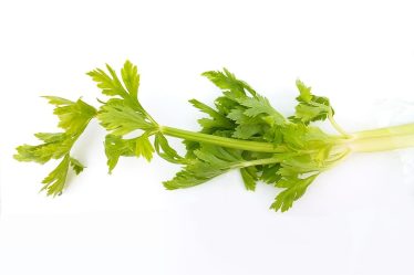 Calorie sedano