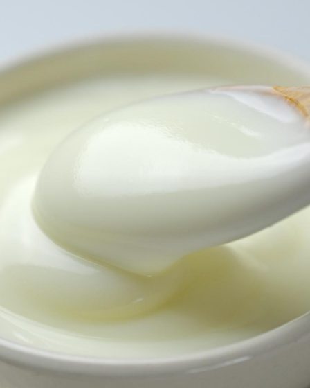 Calorie yogurt greco