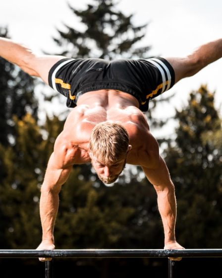 Esercizi calisthenics